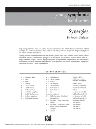 Book cover for Synergies: Score