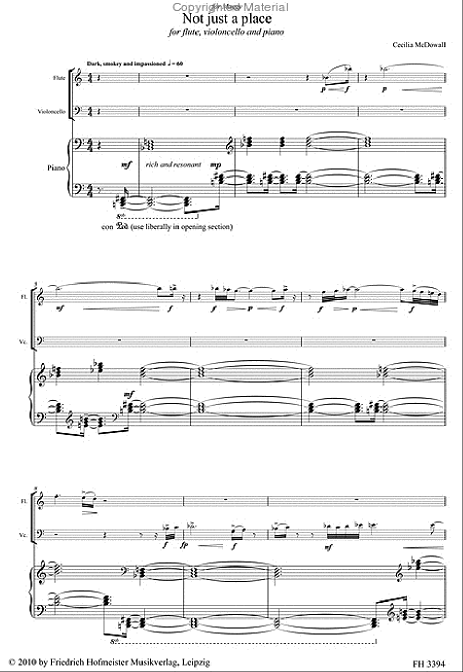 Not just a place Not just a place Flute scores gallery preview page 3