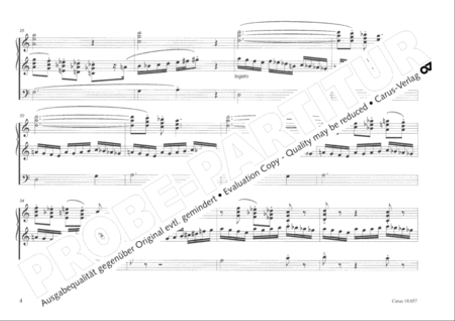 Toccata and Fugue Organ scores gallery preview page 5