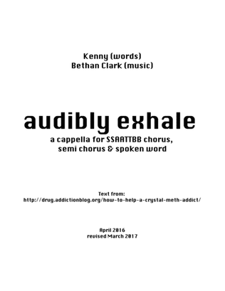 Audibly Exhale describes the experience of a crystal meth addict