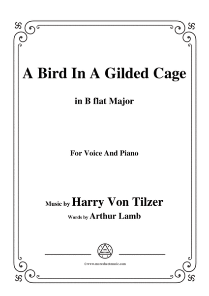 Harry Von Tilzer-Bird In A Gilded Cage,in B flat Major,for Voice&Piano image number null