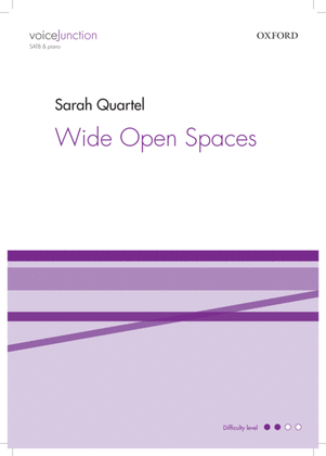 Book cover for Wide Open Spaces