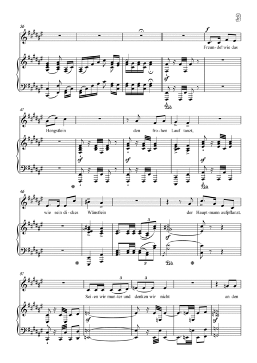 Schumann-Husarenabzug Op.125 No.5 in F♯ Major Voice scores gallery preview page 4