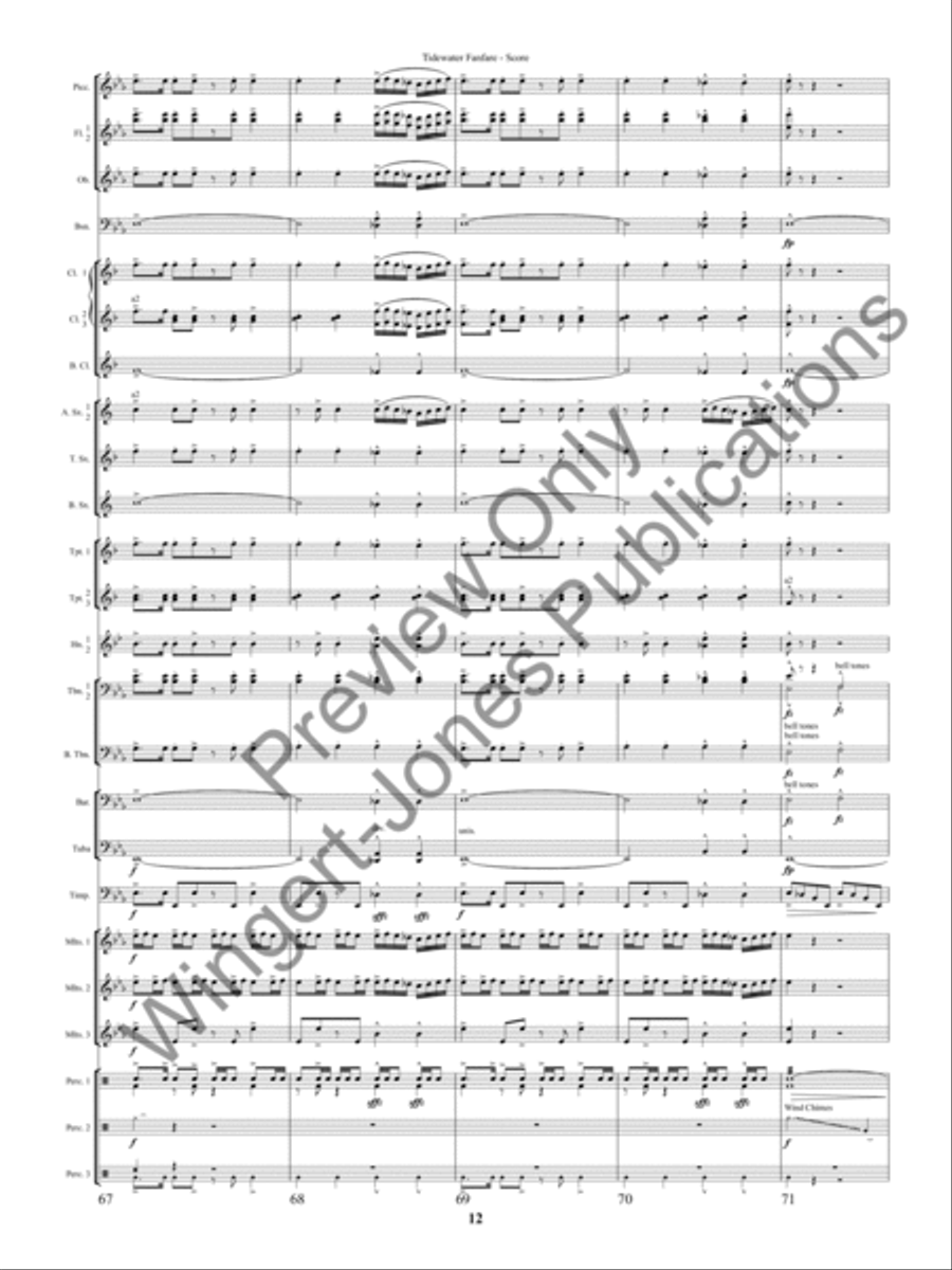 Tidewater Fanfre (Score) Concert Band scores gallery preview page 15