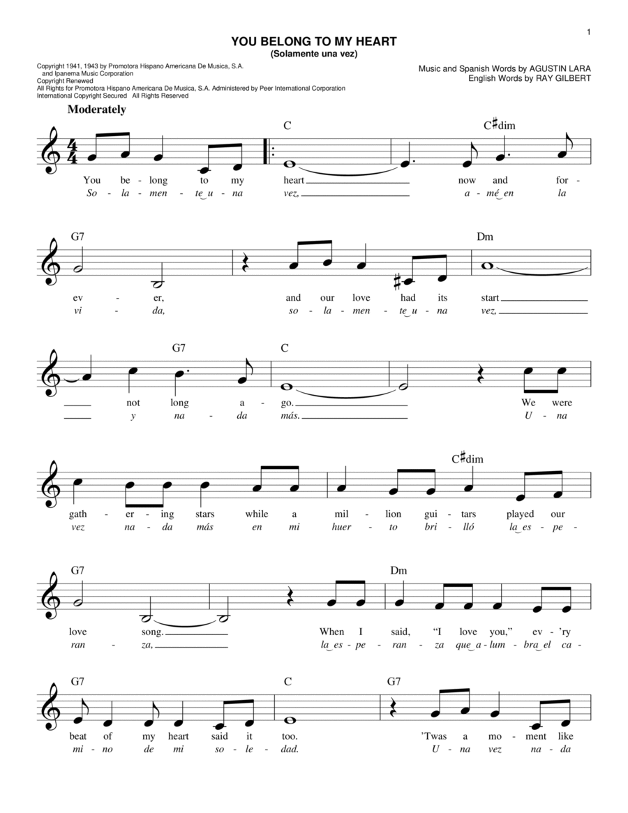 You Belong To My Heart (Solamente Una Vez) Piano scores gallery preview page 1