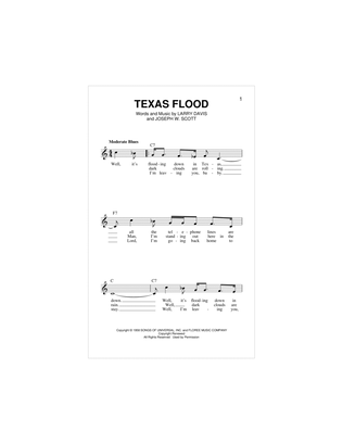 Book cover for Texas Flood