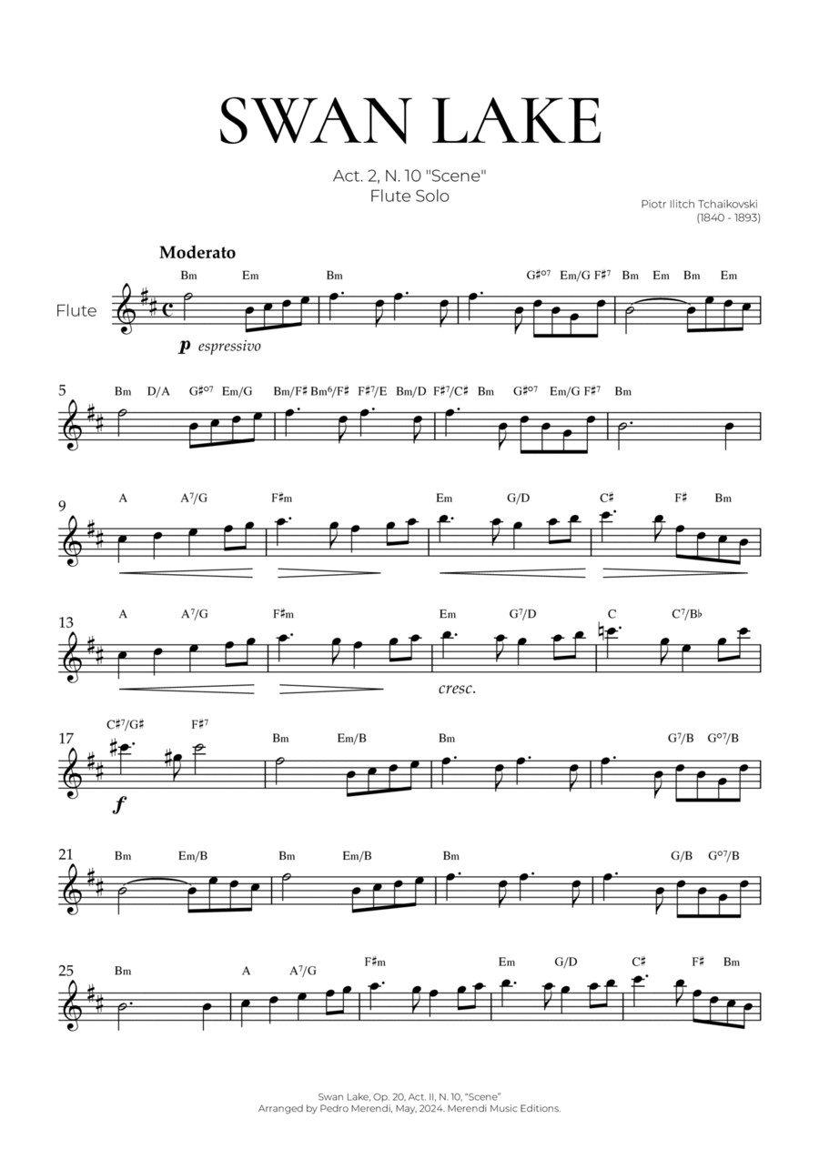 Swan Lake (Flute Solo) - Tchaikovsky Flute Solo scores gallery preview page 1