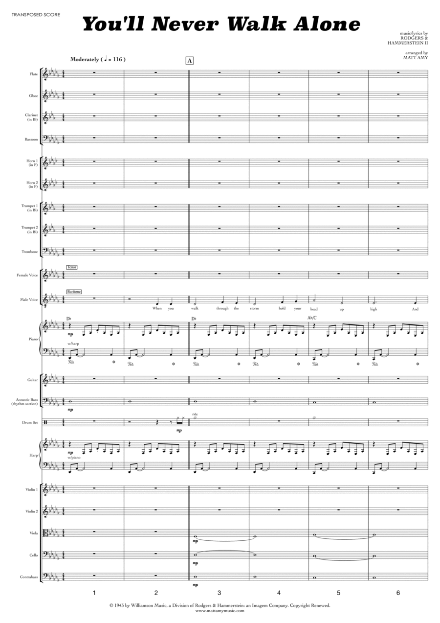 You'll Never Walk Alone You'll Never Walk Alone Full Orchestra scores gallery preview page 1