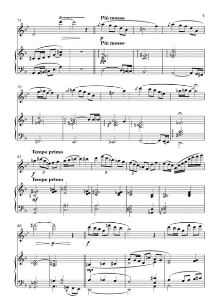 Alto Flute Sonata image number null