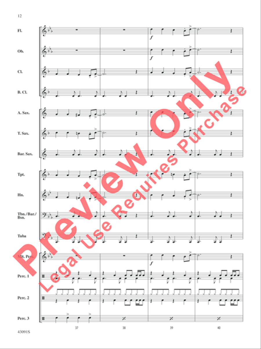 Riders on the Storm Riders on the Storm Concert Band scores gallery preview page 12