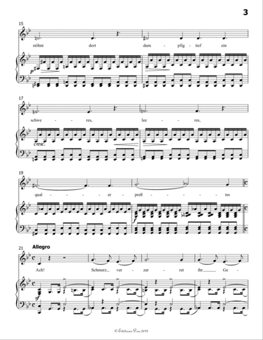 Gruppe aus dem Tartarus, by Schubert, Op.24 No.1, in B flat Major Voice scores gallery preview page 5