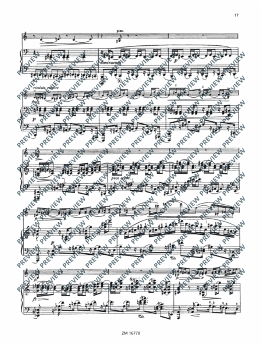 Sonata No. 2 G major Sonata No. 2 G major Violin Solo scores gallery preview page 18