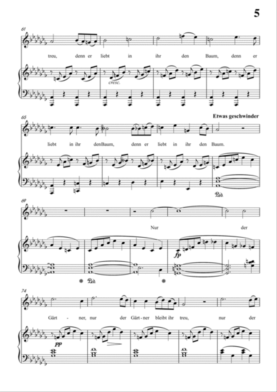 Schubert-Die Abgeblühte Linde(The Faded Linden Tree) in bA minor,for Vocal and Pno Voice scores gallery preview page 6
