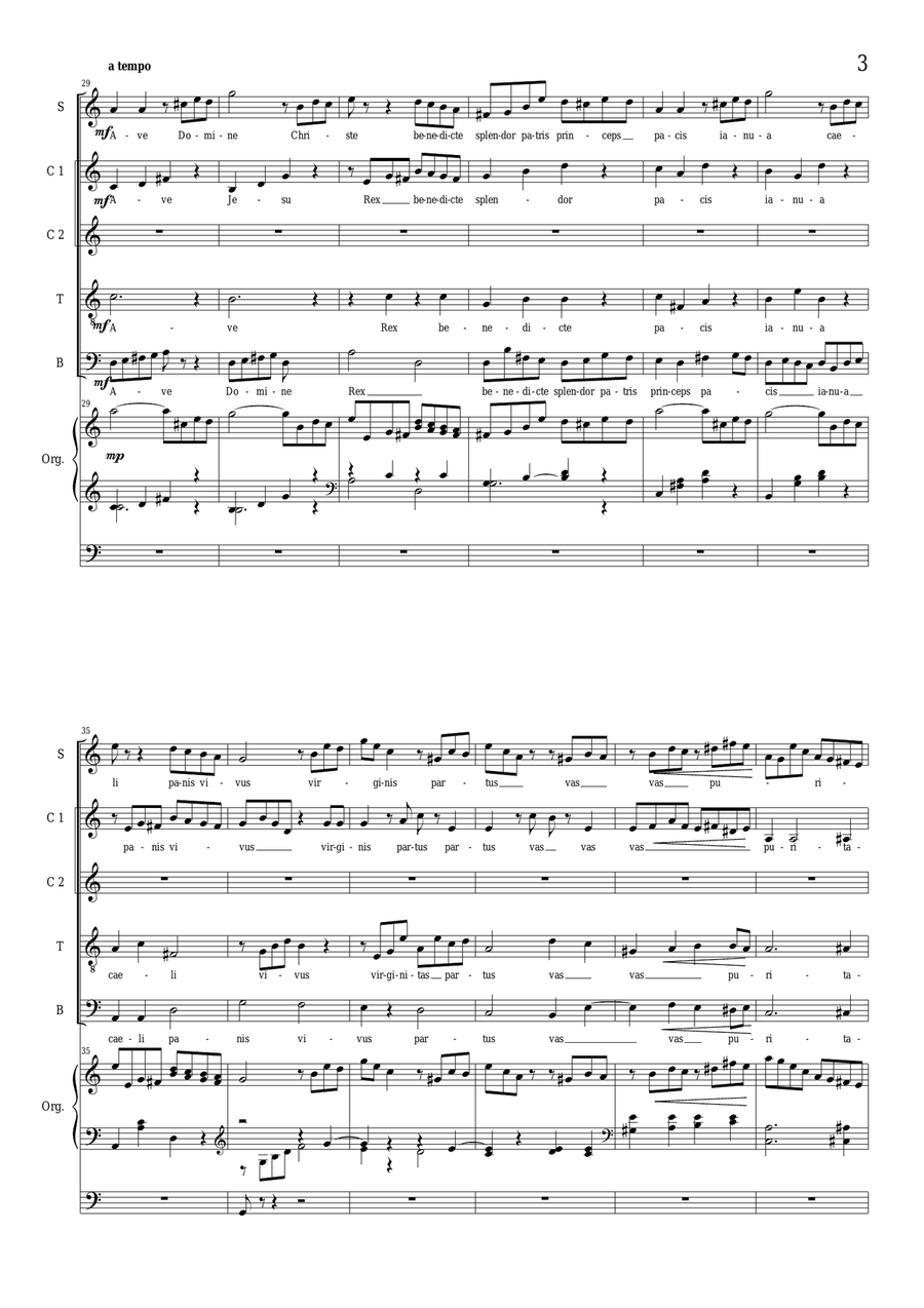 CS153 No.1_Ave Domine Jesu Christe - Choir SAATB and organ Choir scores gallery preview page 3