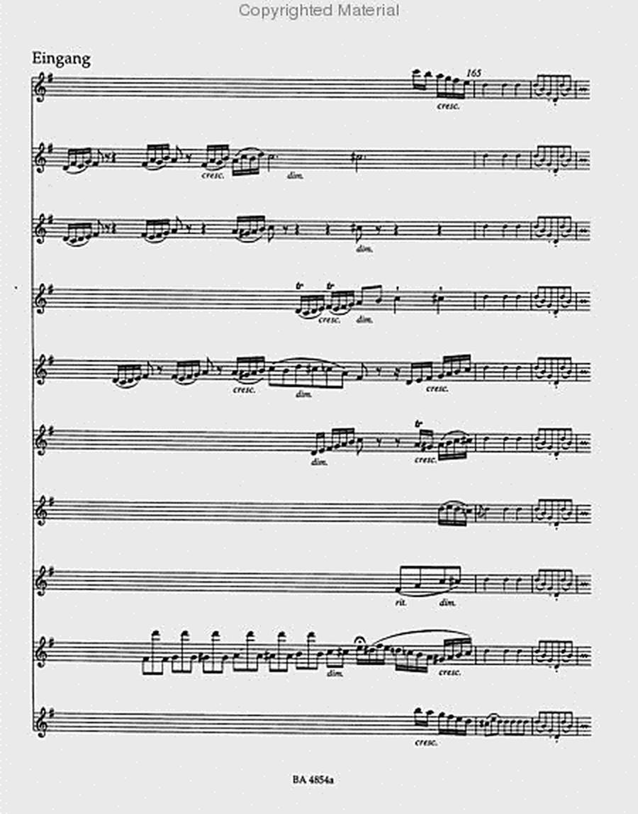 Flute Concerto in G Major, K. 313