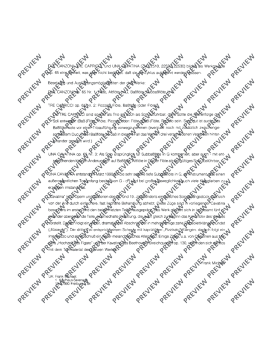 Una Cavatina Flute scores gallery preview page 3