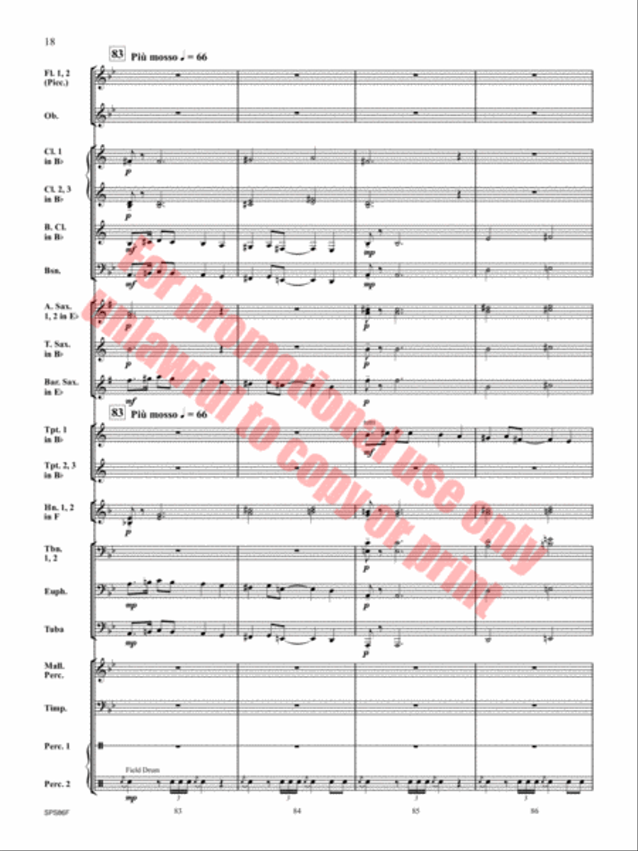 The Hornet's Nest Concert Band scores gallery preview page 19