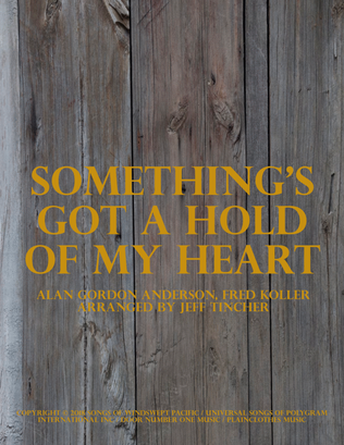 Book cover for Something's Got A Hold Of My Heart
