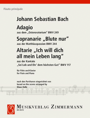 Book cover for Adagio from the Easter Oratorio
