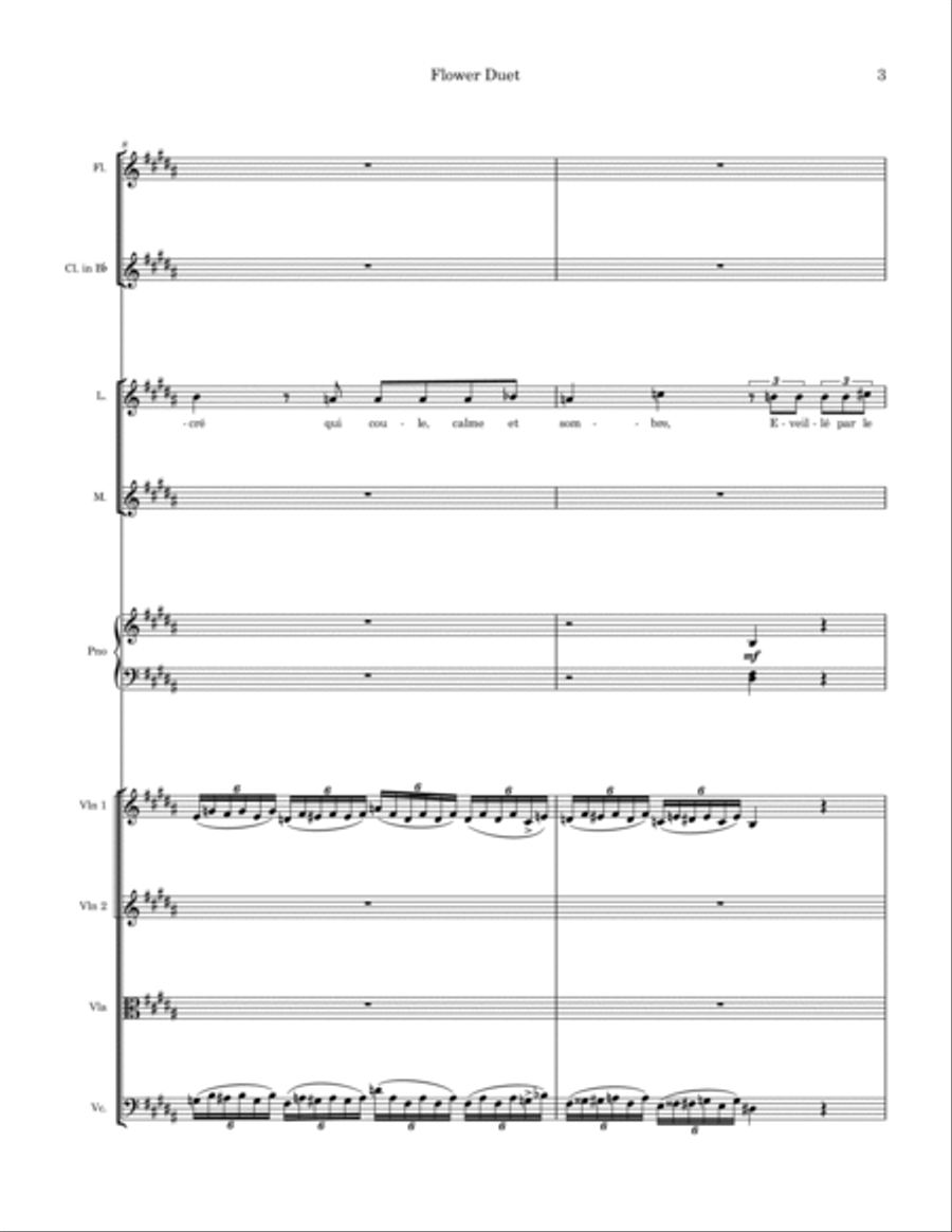Flower Song from Lakme Chamber Orchestra scores gallery preview page 3