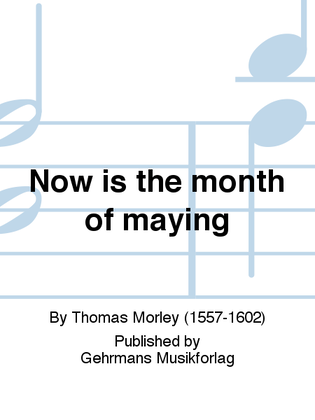 Book cover for Now is the month of maying