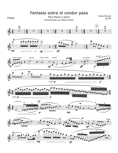 Fantasia Op 80 sobre el condor pasa para flauta y piano image number null