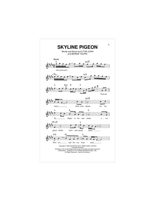 Skyline Pigeon