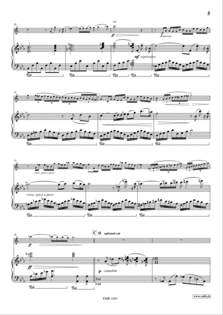 Summer Concertino Horn scores gallery preview page 6