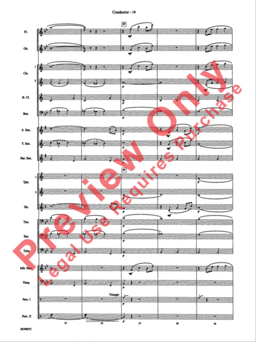 Fields of Kent Concert Band scores gallery preview page 16
