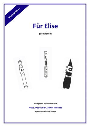 Book cover for Fur Elise (flute, oboe, clarinet trio)