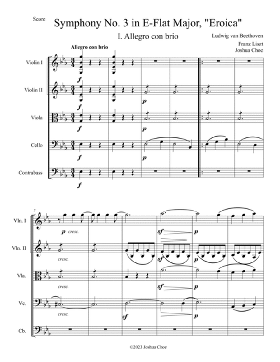 Eroica Symphony (Transcribed for String Orchestra)