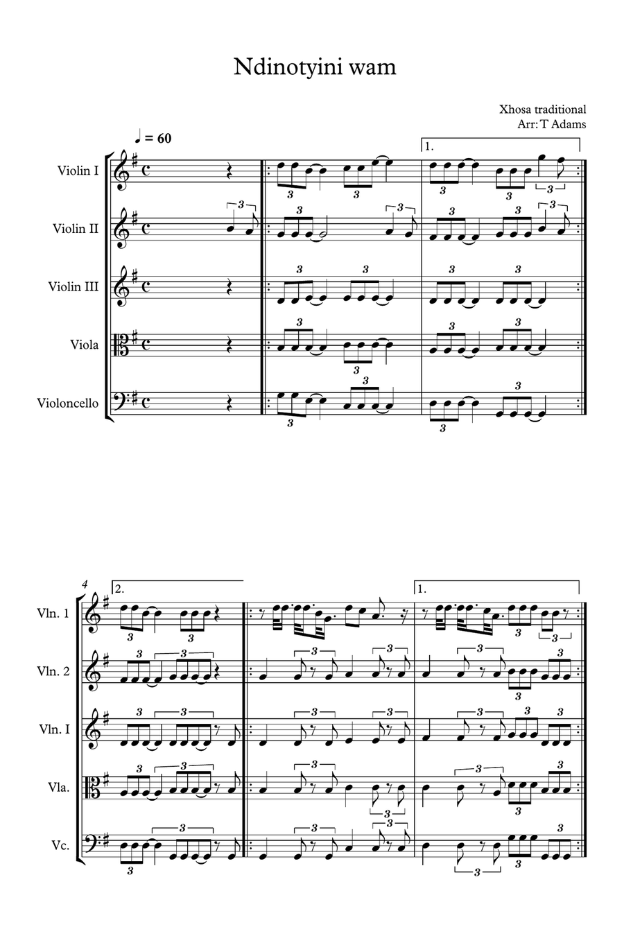 Ndinotyini wam String Quintet scores gallery preview page 1