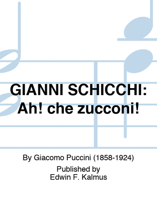 Book cover for GIANNI SCHICCHI: Ah! che zucconi!