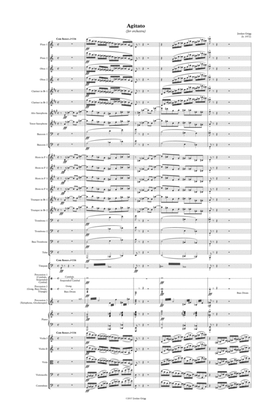 Agitato (for orchestra)
