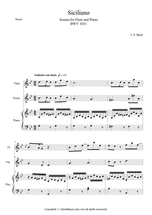 Flute Sonata BWV 1031 Siciliano