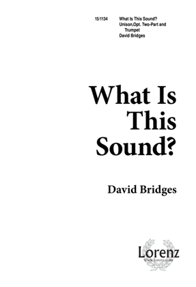 Book cover for What is This Sound?