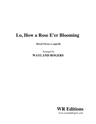 Lo, How a Rose E'er Blooming