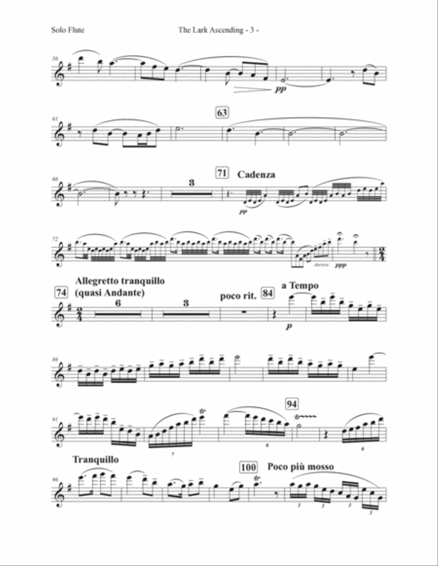 The Lark Ascending The Lark Ascending Flute Solo scores gallery preview page 6
