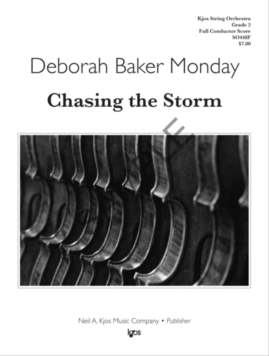 Chasing the Storm - Score String Orchestra scores gallery preview page 2