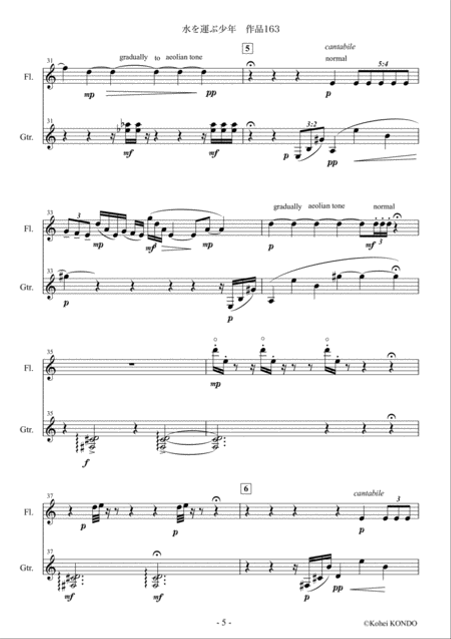 Trail to the water place Op.163 Duet for Flute and Guitar image number null