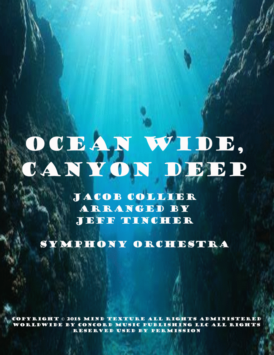 Ocean Wide, Canyon Deep image number null