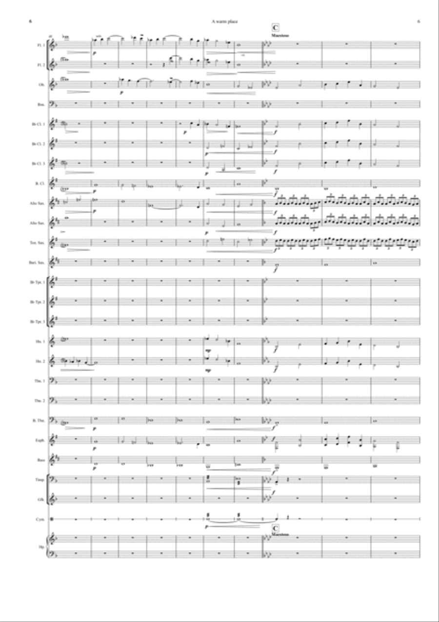 A warm Place By jannes jacobs Concert Band scores gallery preview page 6
