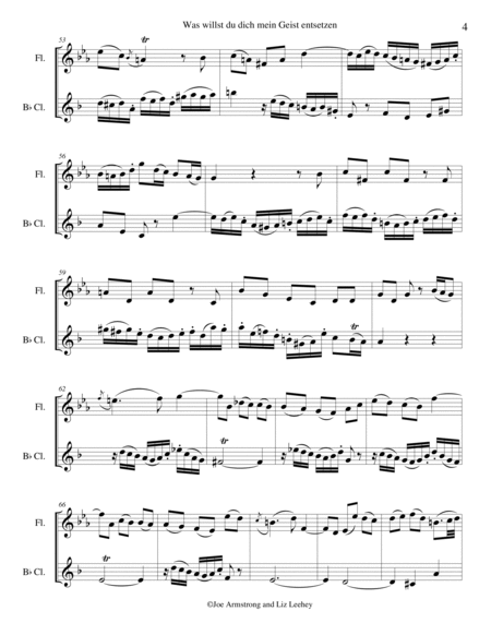 Was willst du dich mein Geist entsetzen? from Cantata BWV 8, Liebster Gott, wann werd ich sterben