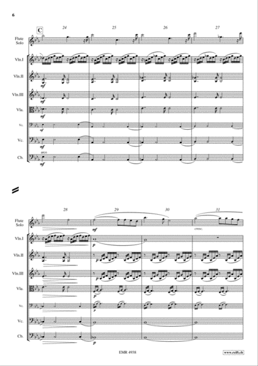 Ave Maria String Orchestra scores gallery preview page 6