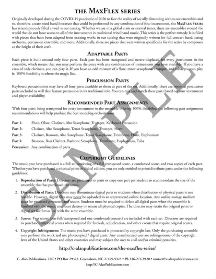 Stomping Ground (transposed score) Flexible/Adaptable scores gallery preview page 3