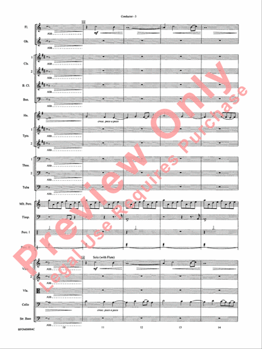 Rites of Tamburo Full Orchestra scores gallery preview page 6