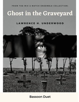 Book cover for Ghost in the Graveyard