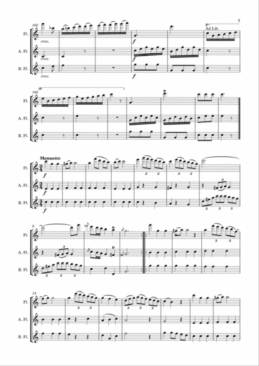Divertimento trio arr. Concert flute, Alto flute and Bass flute Woodwind Trio scores gallery preview page 5