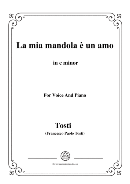 Tosti-La mia mandola è un amo in c minor,for Voice and Piano image number null