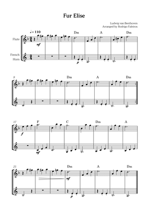 Fur Elise (for flute and french horn)